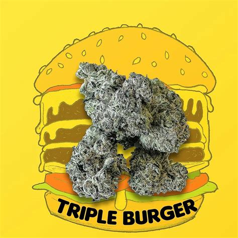 Blue Dream—Blueberry and grassy flavor invite you into this mellow, balanced hybrid <b>strain</b>. . Triple burger strain info